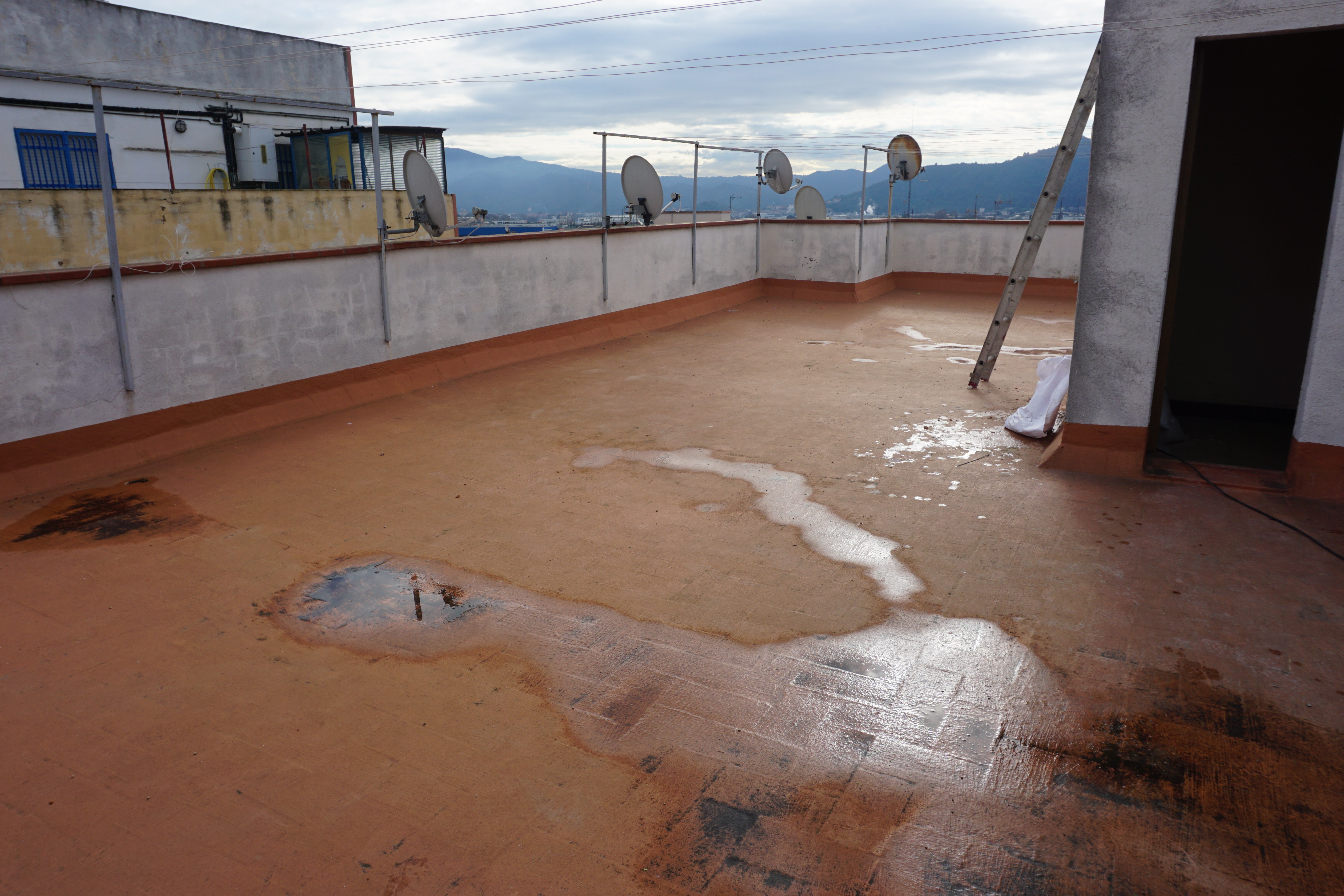 Paret amb humitat i floridura